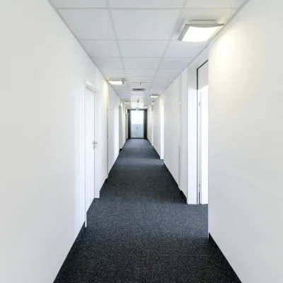 Heller, moderner Büroflur in Frankfurt mit weißen Wänden, mehreren Türen und dunklem Teppichboden.