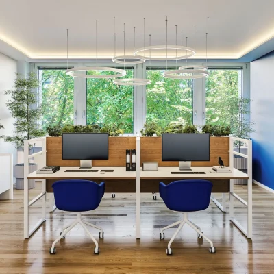 Ein modernes Büro mit zwei Arbeitsplätzen, blauen Bürostühlen, Monitoren, LED-Deckenleuchten, Parkettboden und grünen Pflanzen vor großen Fenstern.