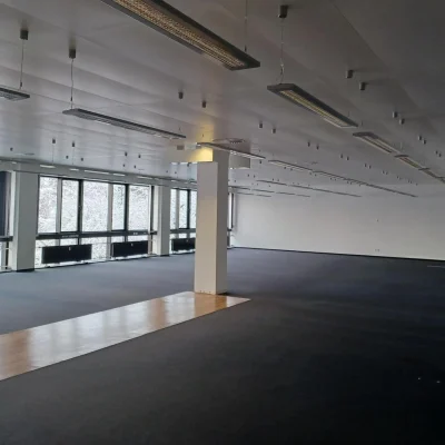 Ein leerer Großraumbereich mit großer Fensterfront, Teppichboden und moderner Deckenbeleuchtung.