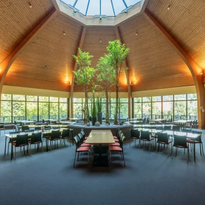 Der Aufenthaltsraum einer Cafeteria mit Holzdecke, runder Architektur, großen Fensterflächen und zentralem Pflanzenbeet.