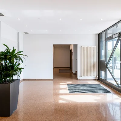 Das Bild zeigt den Eingangsbereich eines Bürogebäudes mit einer großen Tür mit eingelassenem Fenster und einigen Pflanzen.