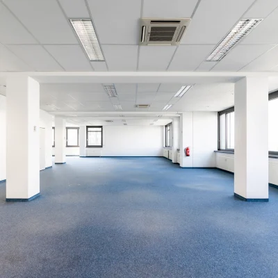 Ein großflächiger leerer Büroraum mit durchgehendem Teppichboden, vielen Fenstern und abgehängter Decke mit Beleuchtung.