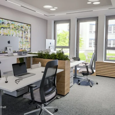 Modernes Doppelbüro mit zwei Arbeitsplätzen, großen Fenstern und Pflanzen in Nürnberg