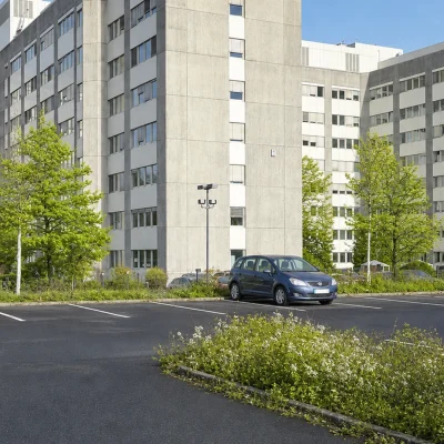 Geschwungener Bürokomplex mit Betonfassade, Parkplatz und frisch begrünten Bäumen