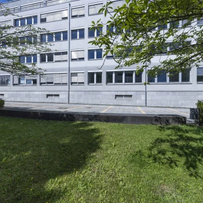 Bürogebäudefassade hinter grünen Baumzweigen bei Sonnenschein