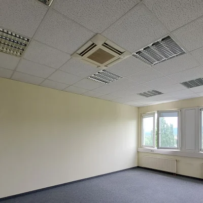 Leeres Büro mit beiger Wand, Teppichboden und Ausblick ins Grüne