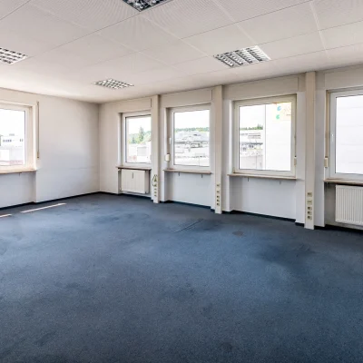 Leeres Büro mit blauem Teppichboden und mehreren großen Fenstern